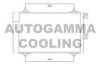 AUTOGAMMA 104899 Condenser, air conditioning